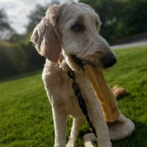 Meet your Posher, Clara